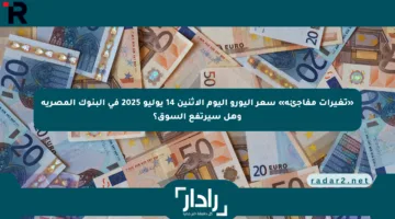 «تغيرات مفاجئة» سعر اليورو اليوم الإثنين 14 يوليو 2025 في البنوك المصرية وهل سيرتفع السوق؟